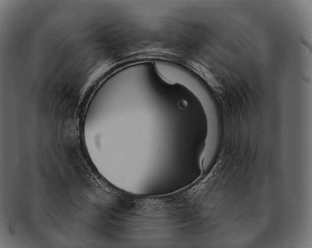 X0000091561164200709071120