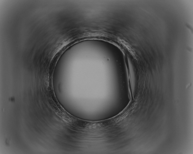 X0000091561165200709071120