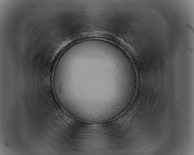 X0000091561166200709071120