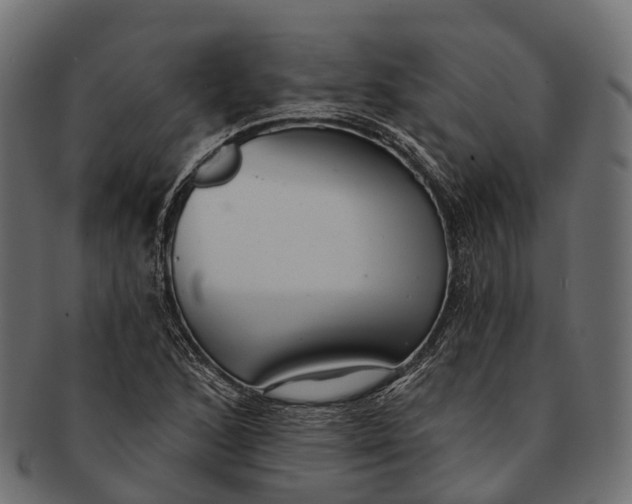 X0000091561168200709071120