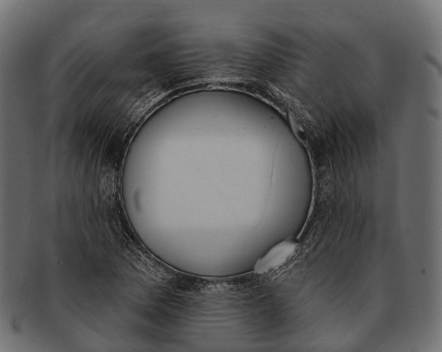 X0000091561169200709071120