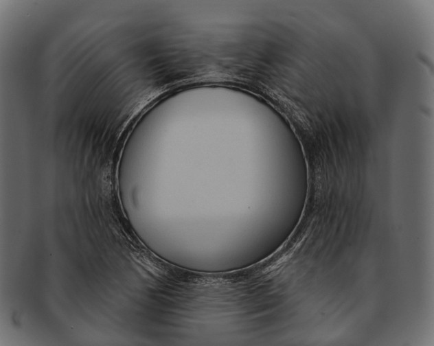 X0000091561170200709071120