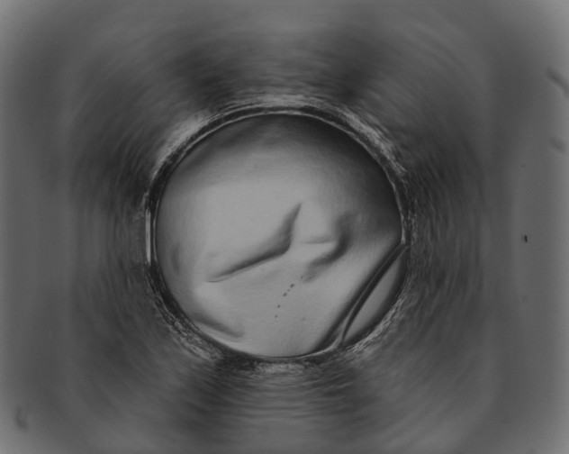 X0000091561171200709071120