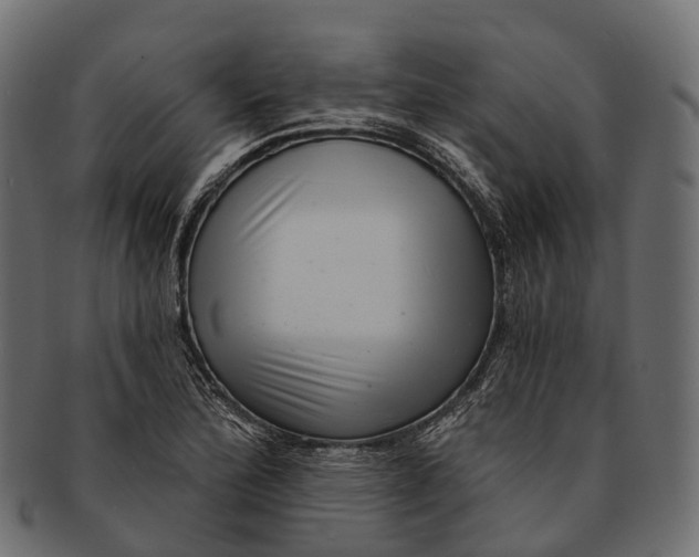 X0000091561172200709071120