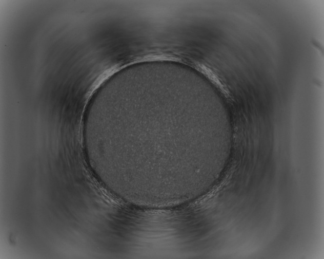 X0000091561173200709071120