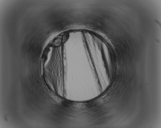 X0000091561175200709071120