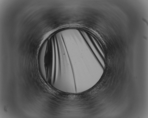 X0000091561176200709071120