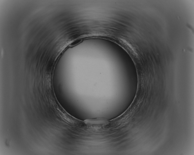 X0000091561177200709071120