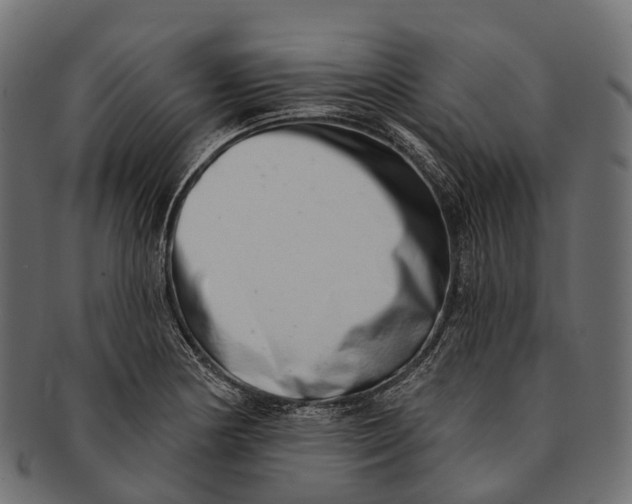 X0000091561178200709071120