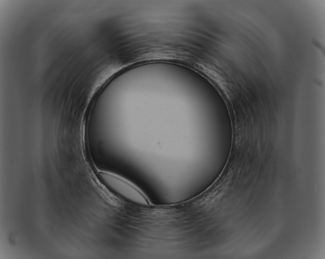 X0000091561179200709071120