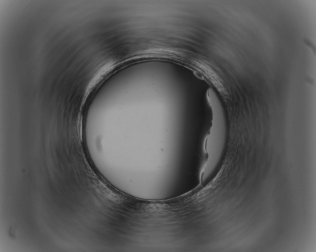 X0000091561180200709071120