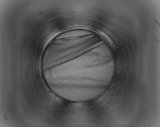 X0000091561182200709071120