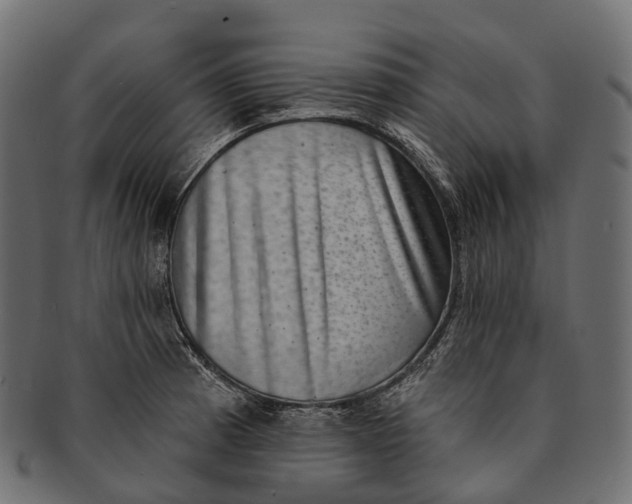 X0000091561185200709071120