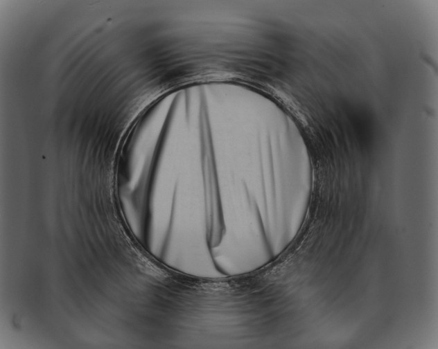 X0000091561186200709071120