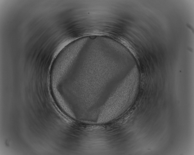 X0000091561187200709071120