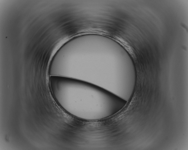 X0000091561188200709071120