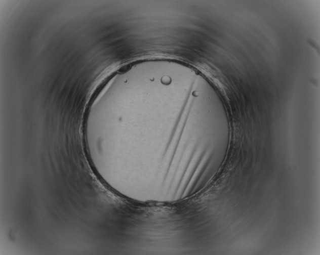 X0000091561189200709071120