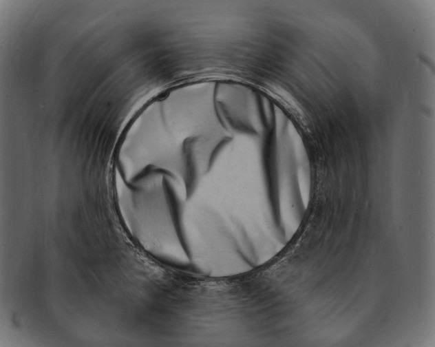 X0000091561190200709071120