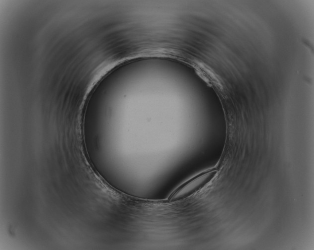 X0000091561192200709071120