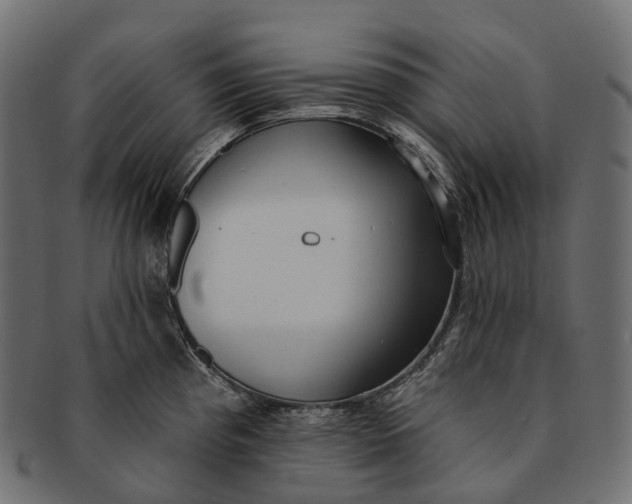 X0000091561193200709071120