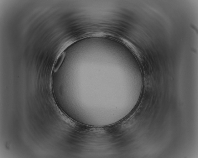 X0000091561194200709071120