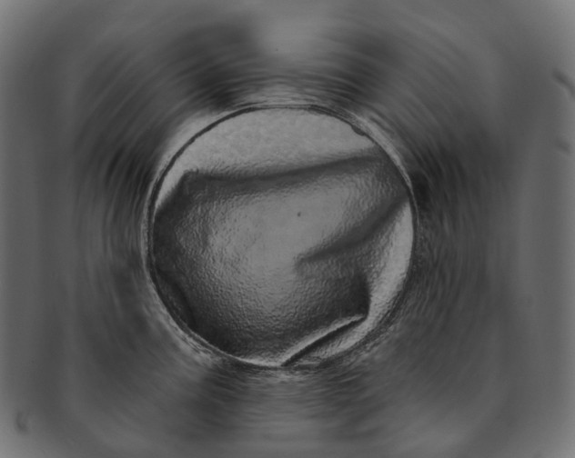 X0000091561195200709071120