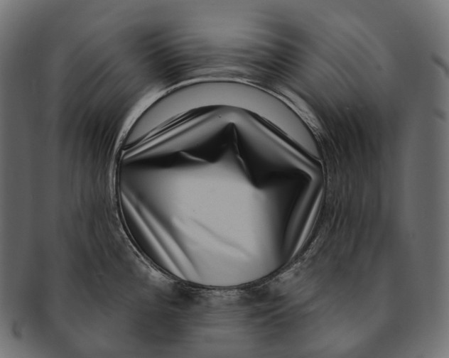 X0000091561196200709071120