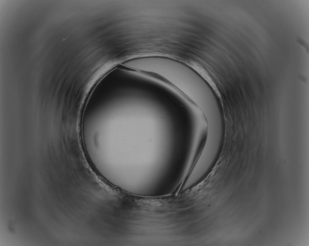 X0000091561197200709071120