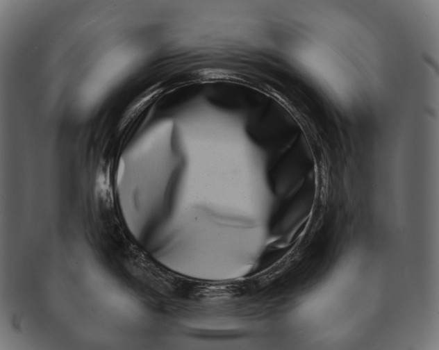 X0000091561198200709071120