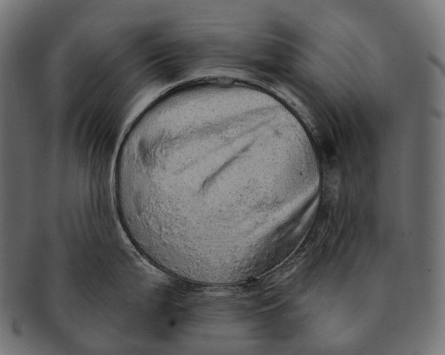 X0000091561199200709071120