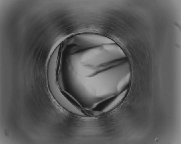 X0000091561200200709071120