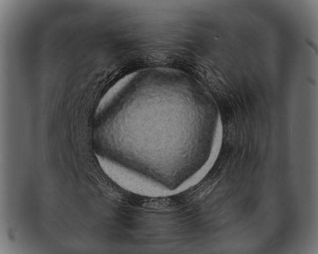 X0000091561201200709071119