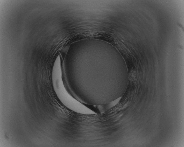 X0000091561202200709071119