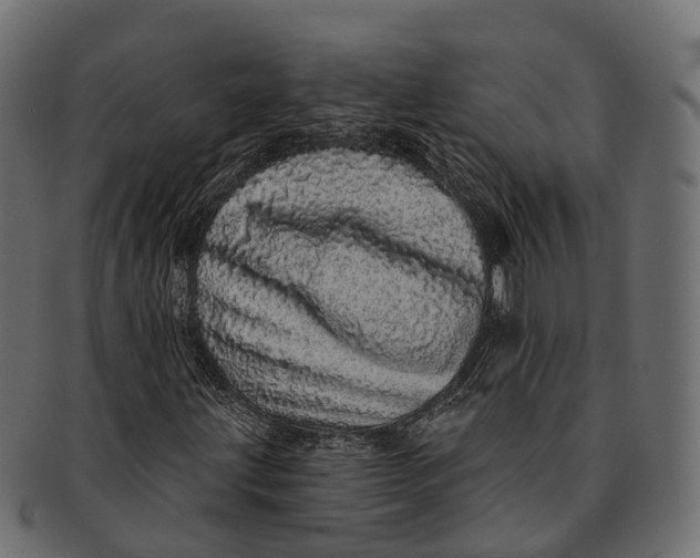 X0000091561203200709071119