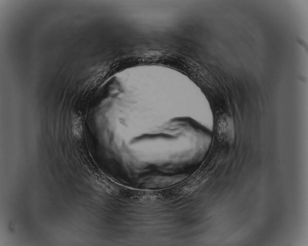 X0000091561204200709071119