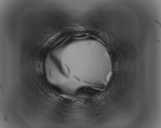 X0000091561205200709071119