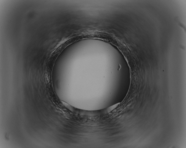 X0000091561206200709071119