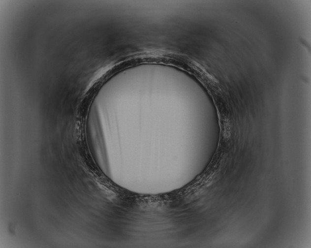 X0000091561208200709071119