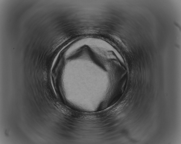 X0000091561209200709071119