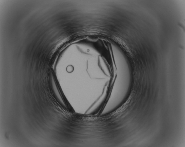 X0000091561210200709071119