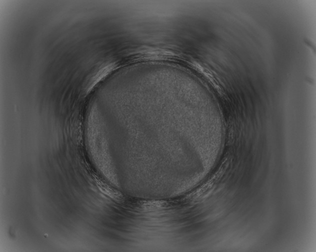 X0000091561211200709071119