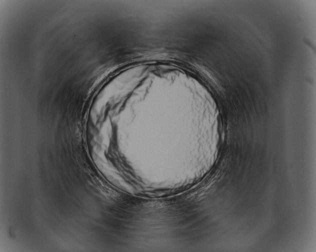 X0000091561212200709071119