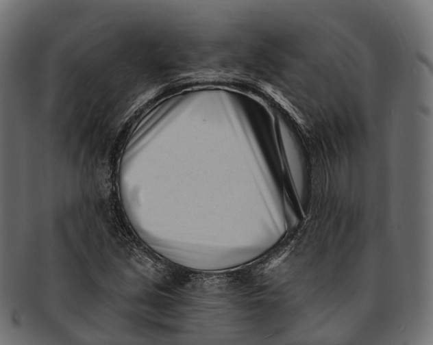 X0000091561213200709071119