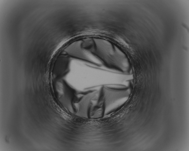 X0000091561216200709071119