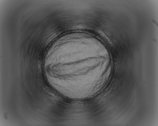 X0000091561217200709071119