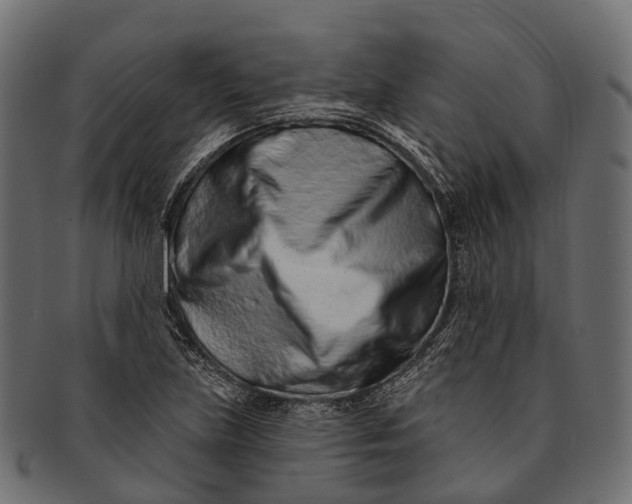 X0000091561219200709071119