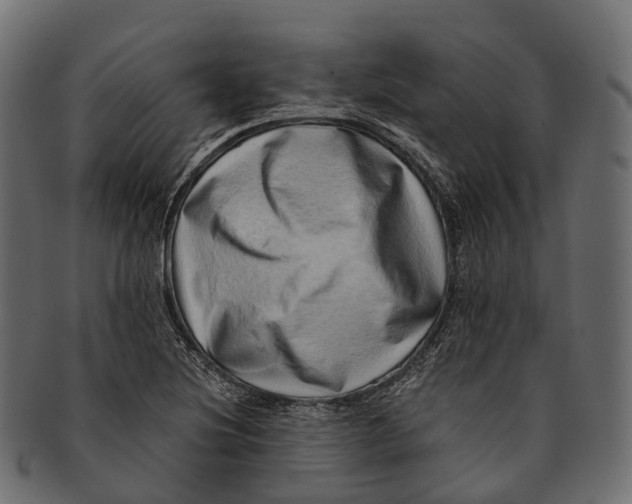 X0000091561220200709071119