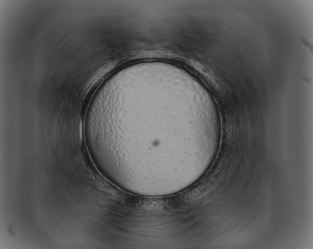 X0000091561221200709071119