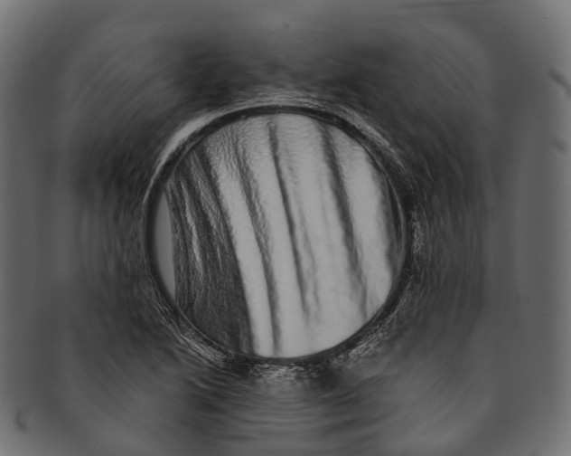 X0000091561222200709071119