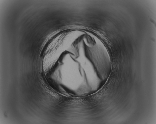 X0000091561223200709071119